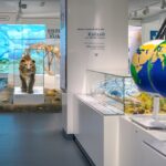 Im Museum gibt es eine Eiszeitausstellung mit einem Löwenmodell, einem Mammutskelett, Informationstafeln und einem großen Globus, der in der Nähe des Eingangs aufgehängt ist.