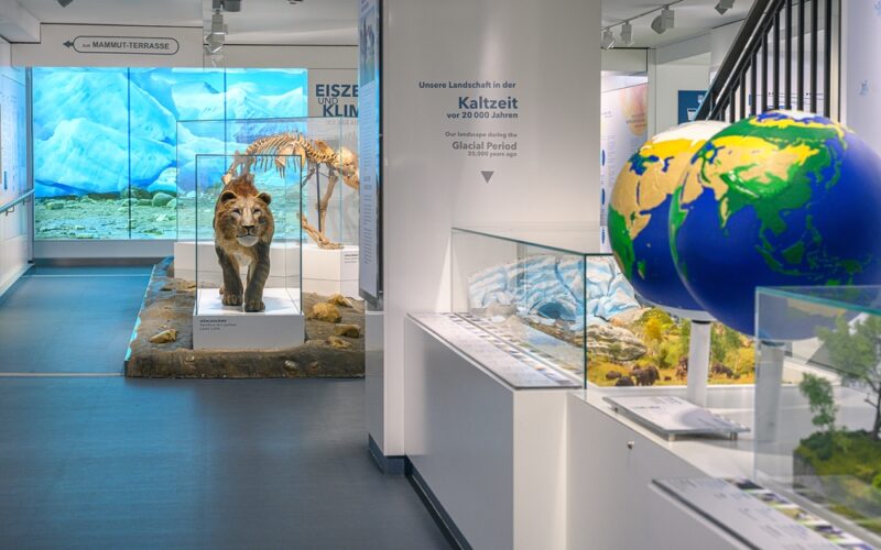 Im Museum gibt es eine Eiszeitausstellung mit einem Löwenmodell, einem Mammutskelett, Informationstafeln und einem großen Globus, der in der Nähe des Eingangs aufgehängt ist.
