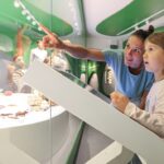 Ein Erwachsener und ein Kind stehen an einer interaktiven Ausstellung in einem Museum und betrachten verschiedene Exponate in einer Glasvitrine und zeigen auf sie.