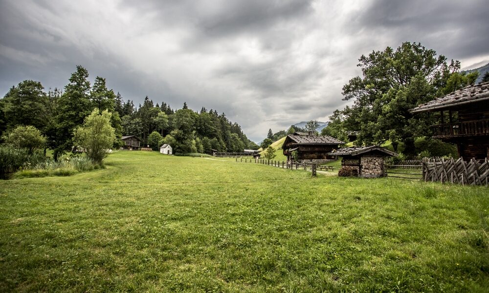 Ein grasbewachsenes Feld mit verstreuten Holzgebäuden, Bäumen und einem bewölkten Himmel in einer ländlichen Landschaft.