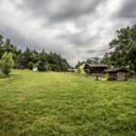 Ein grasbewachsenes Feld mit verstreuten Holzgebäuden, Bäumen und einem bewölkten Himmel in einer ländlichen Landschaft.