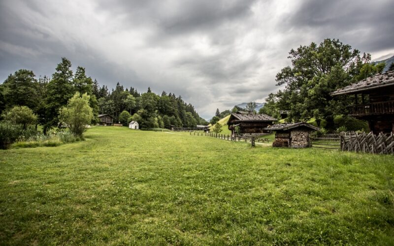 Ein grasbewachsenes Feld mit verstreuten Holzgebäuden, Bäumen und einem bewölkten Himmel in einer ländlichen Landschaft.
