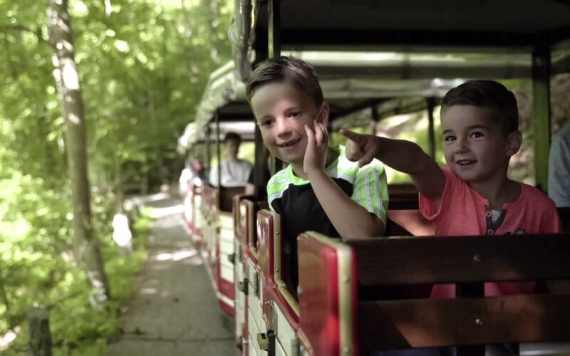 Zwei Jungen sitzen in einem offenen Zugwaggon, einer winkt, der andere zeigt, während der Zug an einem sonnigen Tag durch ein Waldgebiet fährt.