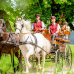 Eine Pferdekutsche mit zwei Fahrern und drei Fahrgästen fährt über einen von Bäumen gesäumten Weg in einer sonnigen, grünen ländlichen Umgebung.