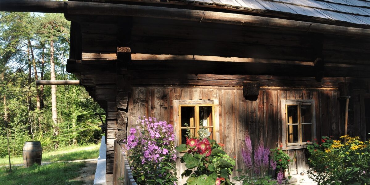 Ein rustikales Holzhaus mit kleinen Fenstern und einem Schindeldach, umgeben von farbenfrohen Blumen und Grünpflanzen, steht in einem sonnenbeschienenen Waldgebiet.