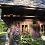Ein rustikales Holzhaus mit kleinen Fenstern und einem Schindeldach, umgeben von farbenfrohen Blumen und Grünpflanzen, steht in einem sonnenbeschienenen Waldgebiet.