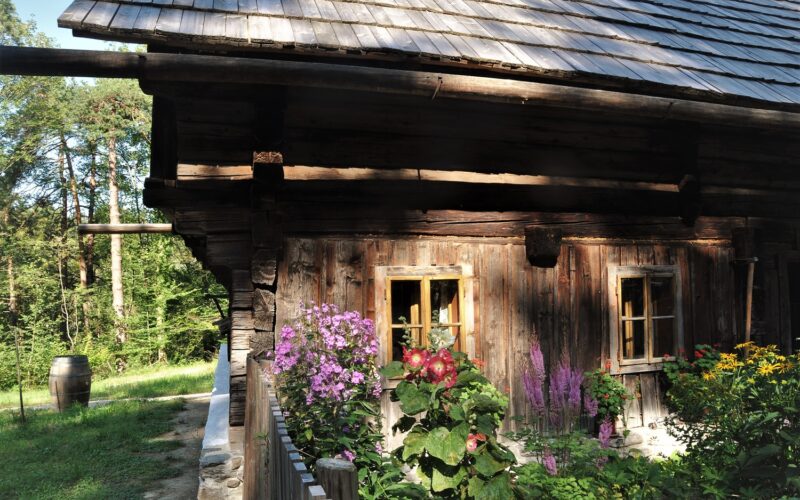 Ein rustikales Holzhaus mit kleinen Fenstern und einem Schindeldach, umgeben von farbenfrohen Blumen und Grünpflanzen, steht in einem sonnenbeschienenen Waldgebiet.
