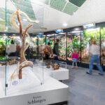 Glasvitrine mit einem Schlangenskelett vor mehreren Terrarien mit lebenden Reptilien in einer gut beleuchteten Museumsausstellung; einige Besucher gehen an den Ausstellungsstücken vorbei.