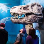 Drei Personen betrachten einen großen Dinosaurierschädel, der an einer Museumswand angebracht ist, während im blauen Hintergrund Modelle von Meeresreptilien zu sehen sind.