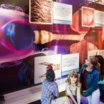 Vier Kinder betrachten ein Exponat, das eine große anatomische Abbildung des menschlichen Kopfes und des Atmungssystems zeigt, begleitet von informativen Schautafeln.