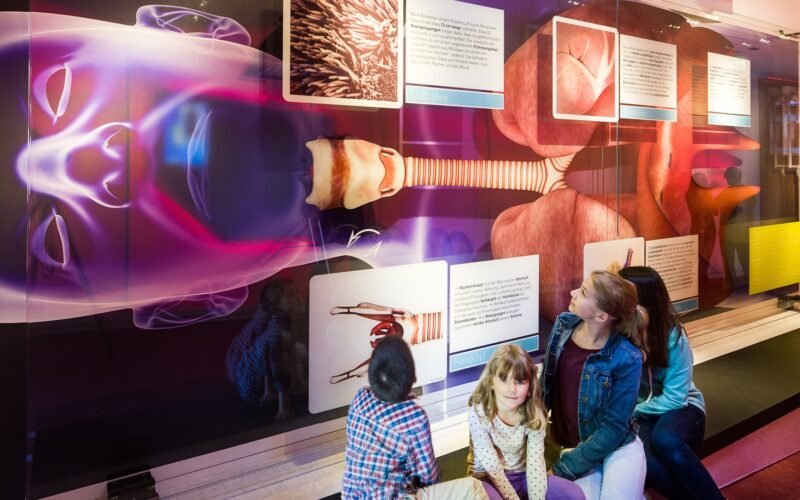 Vier Kinder betrachten ein Exponat, das eine große anatomische Abbildung des menschlichen Kopfes und des Atmungssystems zeigt, begleitet von informativen Schautafeln.