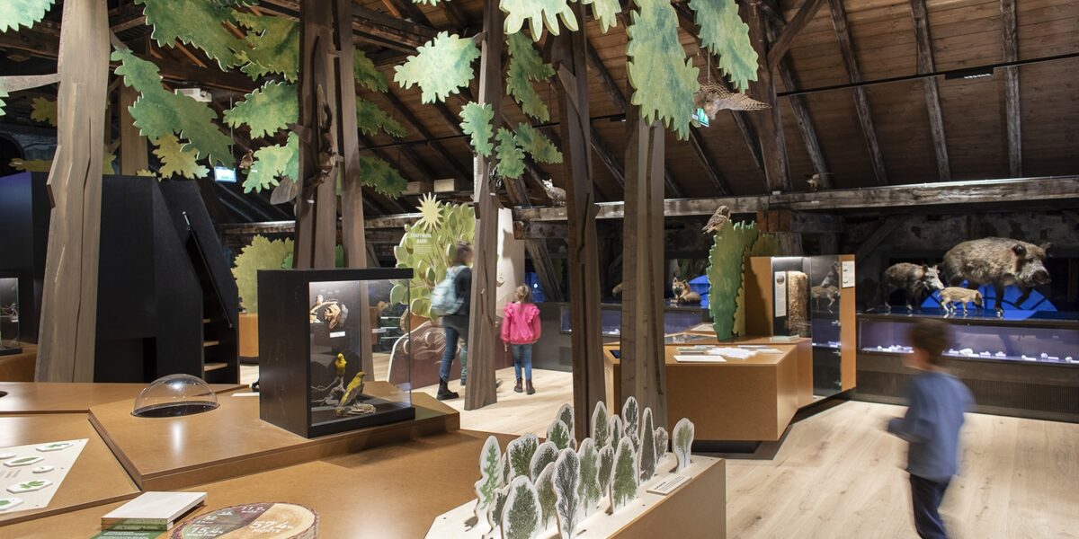 Museumsexponat mit Holzbalken, didaktischen Schautafeln, Tiermodellen, Blattschmuck und Besuchern, die die Exponate in einem großen Raum betrachten.