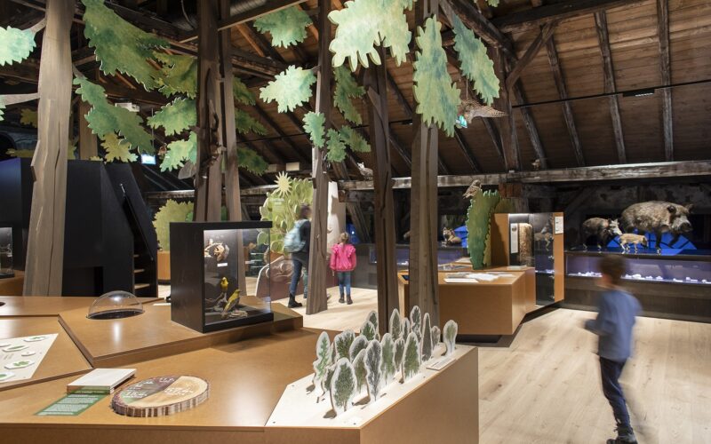 Museumsexponat mit Holzbalken, didaktischen Schautafeln, Tiermodellen, Blattschmuck und Besuchern, die die Exponate in einem großen Raum betrachten.