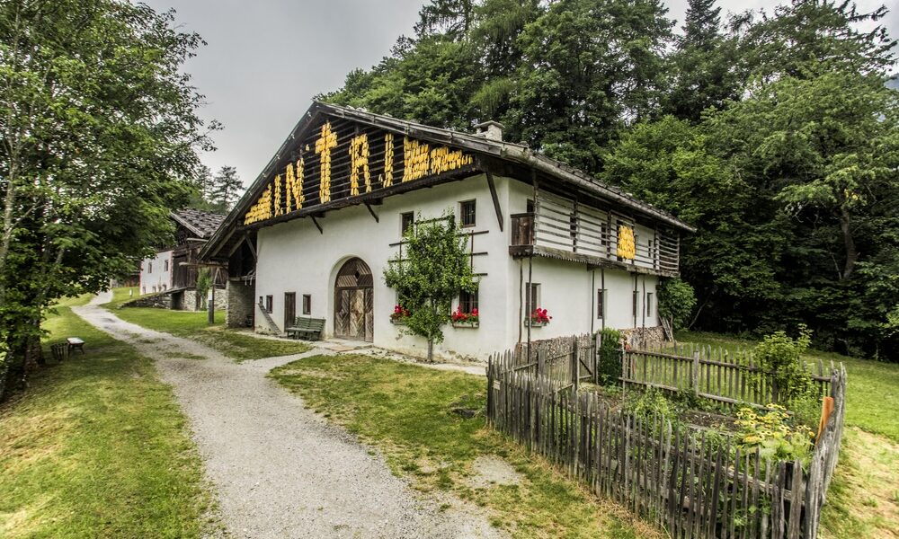 Ein rustikales weißes Haus mit einem Holzdach, gelbe Maiskolben, die unter dem Dachvorsprung trocknen, umgeben von Grün und einem kleinen Garten, entlang eines Kiesweges.