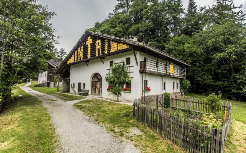 Ein rustikales weißes Haus mit einem Holzdach, gelbe Maiskolben, die unter dem Dachvorsprung trocknen, umgeben von Grün und einem kleinen Garten, entlang eines Kiesweges.