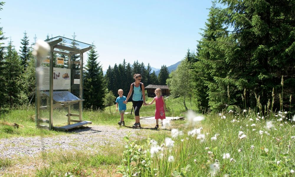 Eine Frau und zwei Kinder gehen an einem sonnigen Tag auf einem Kiesweg an einem Informationsschild in einer grasbewachsenen, bewaldeten Gegend vorbei.