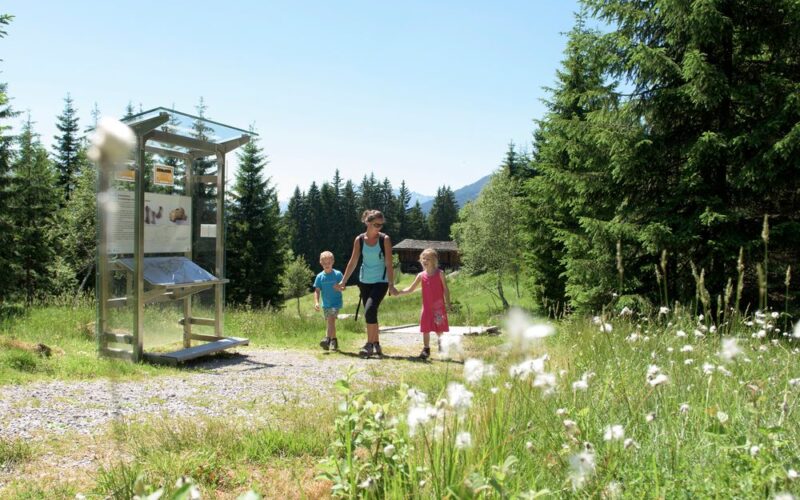 Eine Frau und zwei Kinder gehen an einem sonnigen Tag auf einem Kiesweg an einem Informationsschild in einer grasbewachsenen, bewaldeten Gegend vorbei.