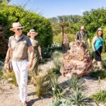 Vier Erwachsene gehen durch einen sonnenbeschienenen Garten mit verschiedenen Pflanzen, Kieswegen und großen Steinen, umgeben von dichtem grünen Laub.