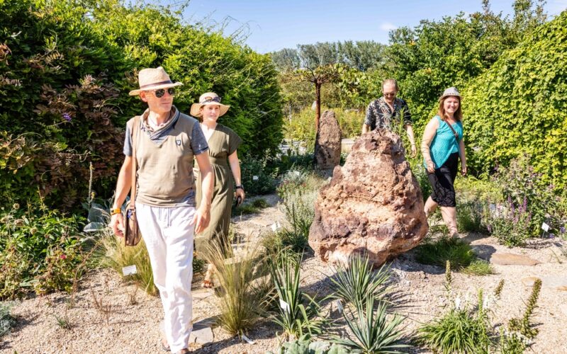 Vier Erwachsene gehen durch einen sonnenbeschienenen Garten mit verschiedenen Pflanzen, Kieswegen und großen Steinen, umgeben von dichtem grünen Laub.