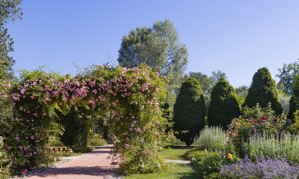 Ein Gartenweg mit einem rosafarbenen, blumengeschmückten Torbogen, umgeben von gepflegten Büschen, bunten Blumen und Bäumen unter einem klaren blauen Himmel.