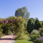 Ein Gartenweg mit einem rosafarbenen, blumengeschmückten Torbogen, umgeben von gepflegten Büschen, bunten Blumen und Bäumen unter einem klaren blauen Himmel.