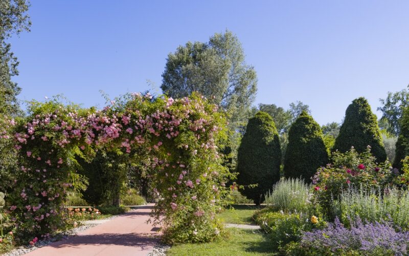 Ein Gartenweg mit einem rosafarbenen, blumengeschmückten Torbogen, umgeben von gepflegten Büschen, bunten Blumen und Bäumen unter einem klaren blauen Himmel.