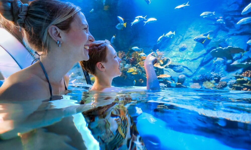 Eine Frau und ein Kind stehen im seichten Wasser eines Aquariums und betrachten die Fische, die in einem großen Becken schwimmen.