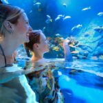 Eine Frau und ein Kind stehen im seichten Wasser eines Aquariums und betrachten die Fische, die in einem großen Becken schwimmen.