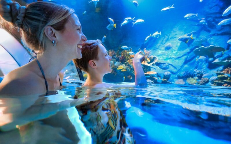 Eine Frau und ein Kind stehen im seichten Wasser eines Aquariums und betrachten die Fische, die in einem großen Becken schwimmen.