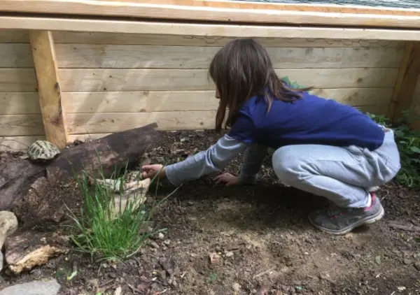 Ein Kind hockt in einem Garten und streckt sich in der Nähe einiger Pflanzen und eines Holzstücks an einem Holzzaun zu Boden.