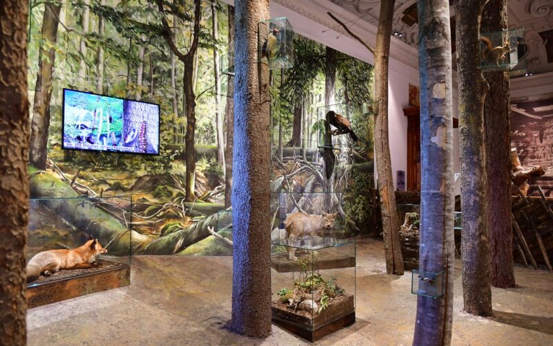 Exponat mit Bäumen, Tierpräparaten und Glasvitrinen in einem waldähnlichen Museumsraum; ein Monitor zeigt eine Naturszene an der linken Wand.