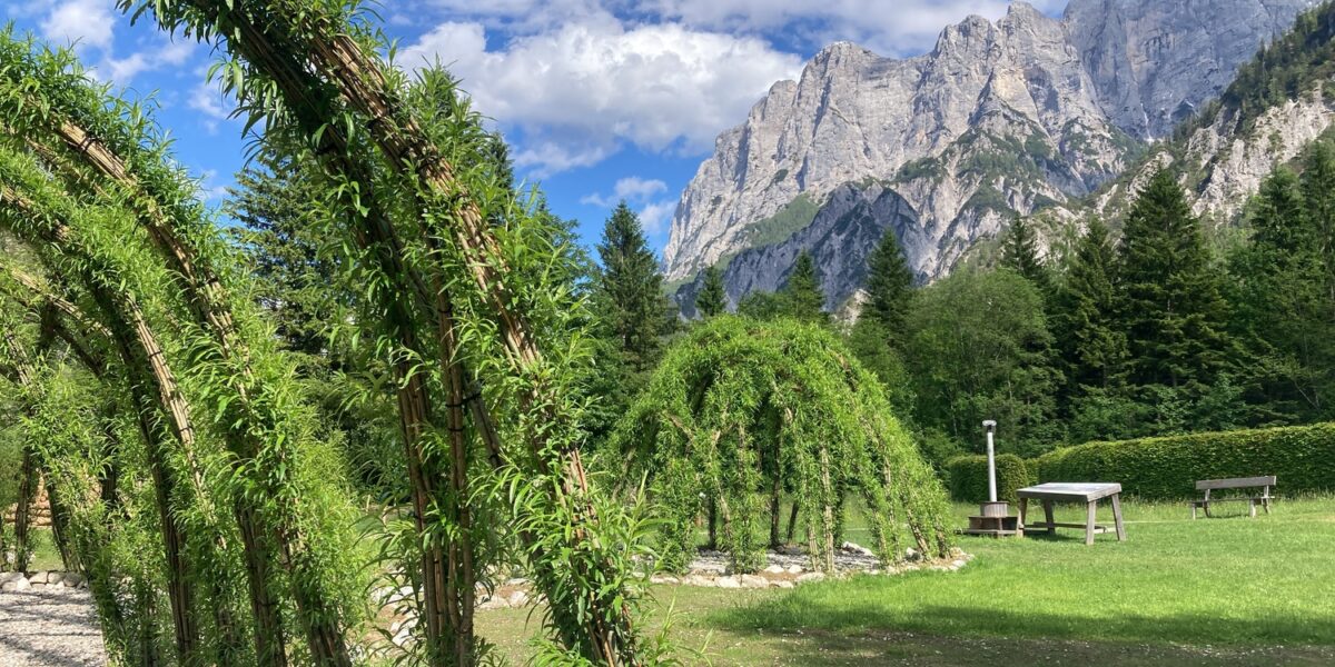 Grüne gewölbte Pflanzenstrukturen stehen auf einem grasbewachsenen Rasen mit Picknicktischen, Bäumen und felsigen Bergen im Hintergrund unter einem teilweise bewölkten Himmel.