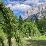 Grüne gewölbte Pflanzenstrukturen stehen auf einem grasbewachsenen Rasen mit Picknicktischen, Bäumen und felsigen Bergen im Hintergrund unter einem teilweise bewölkten Himmel.