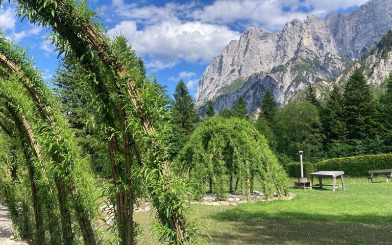Grüne gewölbte Pflanzenstrukturen stehen auf einem grasbewachsenen Rasen mit Picknicktischen, Bäumen und felsigen Bergen im Hintergrund unter einem teilweise bewölkten Himmel.