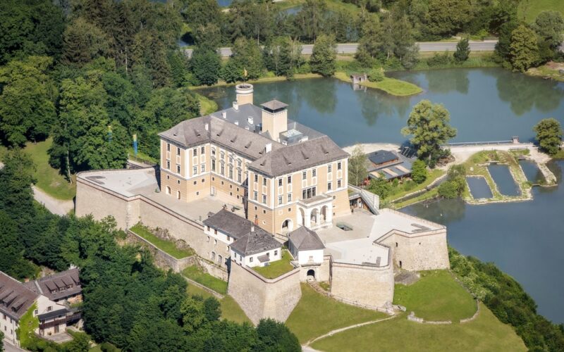 Luftaufnahme einer großen historischen Burg mit Steinmauern, umgeben von Bäumen, Wasser und nahe gelegenen Straßen, bei klarem Tageslicht.