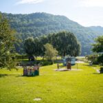Ein grasbewachsener Park mit Spielgeräten, Bäumen und einem Berg im Hintergrund unter einem teilweise bewölkten Himmel.