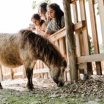 Drei Kinder beobachten an einem sonnigen Tag ein kleines braun-weißes Pony, das in der Nähe eines Holzzauns grast.