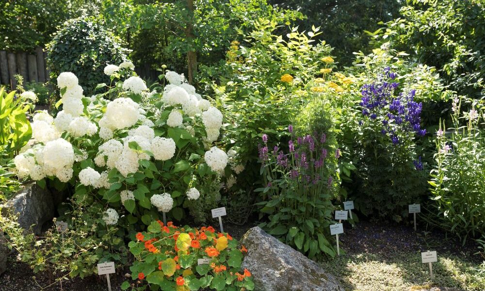 Ein Garten mit Büscheln weißer, orangefarbener, gelber und violetter Blumen, verschiedenen Grünpflanzen, Steinen und kleinen Pflanzenkennzeichnungsschildern.