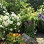 Ein Garten mit Büscheln weißer, orangefarbener, gelber und violetter Blumen, verschiedenen Grünpflanzen, Steinen und kleinen Pflanzenkennzeichnungsschildern.