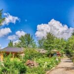 Ein gepflasterter Weg führt zu einem Haus, das von Bäumen, Sträuchern und Blumen unter einem blauen Himmel mit vereinzelten Wolken umgeben ist.