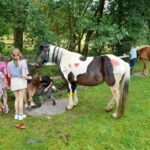 Eine Gruppe von Kindern steht in der Nähe eines schwarz-weißen Pferdes, das mit bunten Formen bemalt ist, auf einer Wiese mit Bäumen und einem weiteren Pferd im Hintergrund.