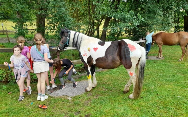 Eine Gruppe von Kindern steht in der Nähe eines schwarz-weißen Pferdes, das mit bunten Formen bemalt ist, auf einer Wiese mit Bäumen und einem weiteren Pferd im Hintergrund.