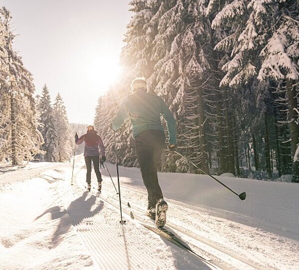 Zwei Personen laufen auf einer schneebedeckten Loipe durch einen Wald mit hohen, schneebedeckten Bäumen bei strahlendem Sonnenschein Langlauf.