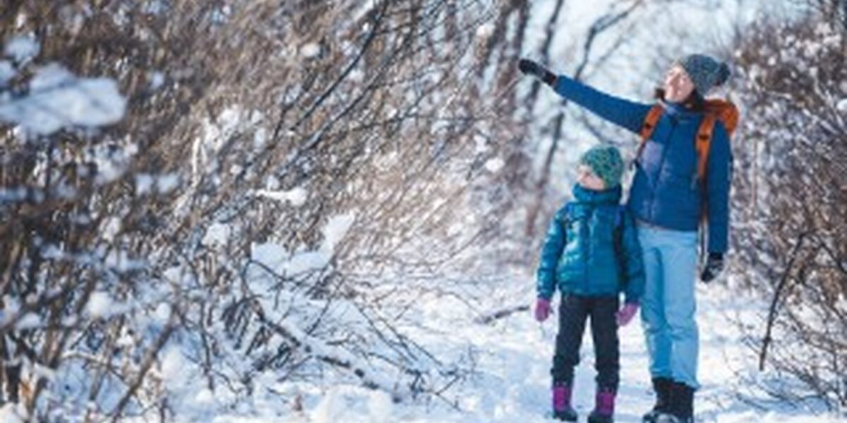 Ein Erwachsener und ein Kind in Winterkleidung gehen auf einem verschneiten Weg durch die Bäume, wobei der Erwachsene auf etwas in den Zweigen zeigt.