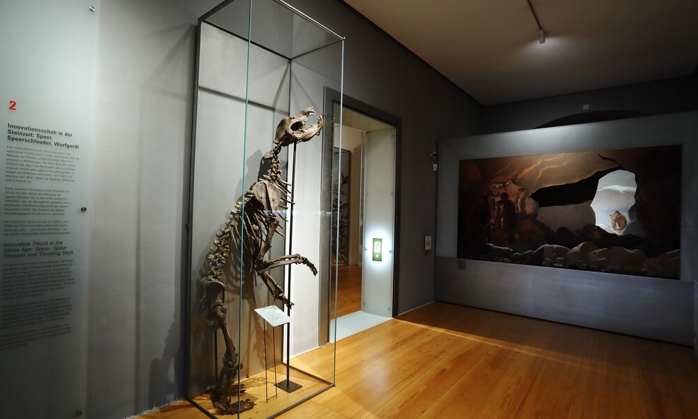 Ein Bärenskelett steht aufrecht in einer Glasvitrine in einem Museumsraum, während im Hintergrund an der Wand eine Ausstellung alter Höhlenmalereien zu sehen ist.