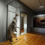 Ein Bärenskelett steht aufrecht in einer Glasvitrine in einem Museumsraum, während im Hintergrund an der Wand eine Ausstellung alter Höhlenmalereien zu sehen ist.