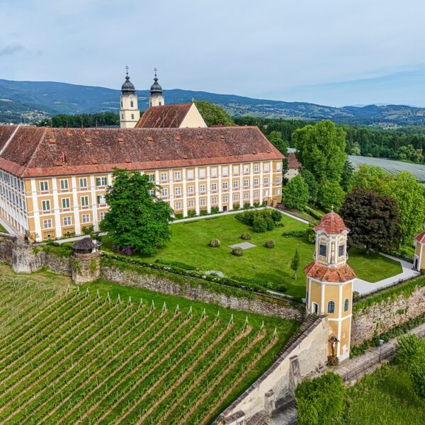 Großes historisches Gebäude mit rotem Ziegeldach, zwei Zwillingstürmen, umgeben von grünen Rasenflächen, Bäumen und Weinbergen, mit Hügeln und bewaldeter Landschaft im Hintergrund.