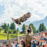 Ein großer Raubvogel fliegt über einer im Freien sitzenden Menschenmenge, während ein Hundeführer nach oben zeigt und die Berge im Hintergrund zu sehen sind.