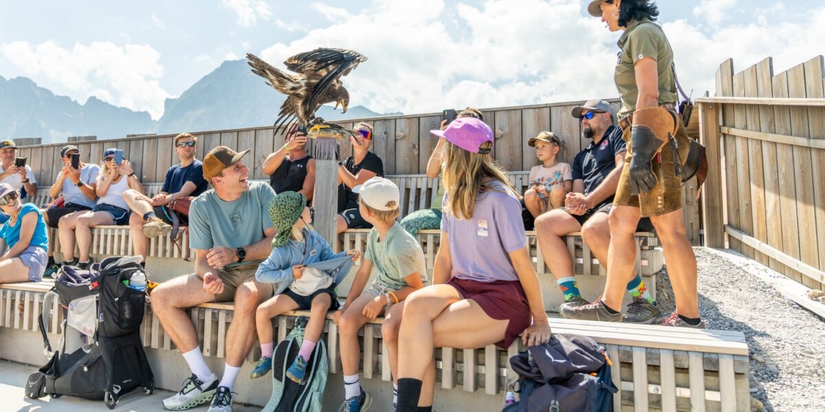 Eine Gruppe von Menschen sitzt auf Bänken im Freien, während ein Hundeführer dem Publikum einen großen Raubvogel vorführt. Im Hintergrund sind Berge und ein Holzzaun zu sehen.