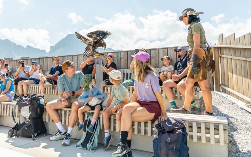 Eine Gruppe von Menschen sitzt auf Bänken im Freien, während ein Hundeführer dem Publikum einen großen Raubvogel vorführt. Im Hintergrund sind Berge und ein Holzzaun zu sehen.